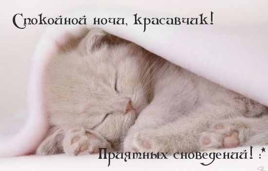 Спокойной ночи, красавчик!