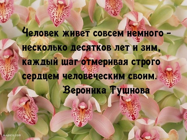 Сердце отмеривает жизнь