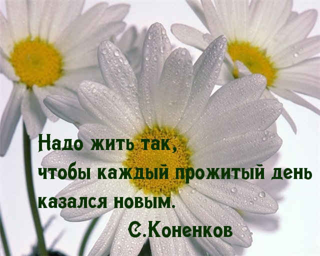 Каждый день — новый день!