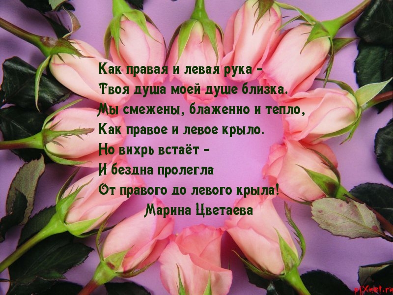 Крылья нашей жизни