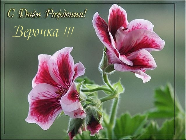 С днём рождения Верочка!