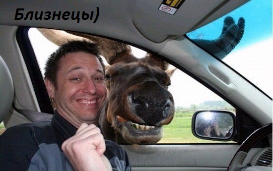 Близнецы