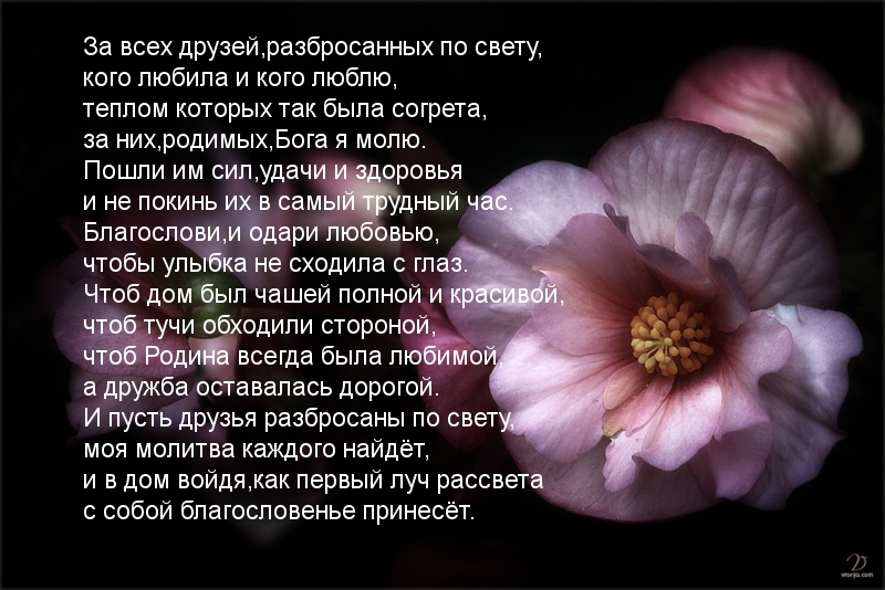 За всех друзей молю