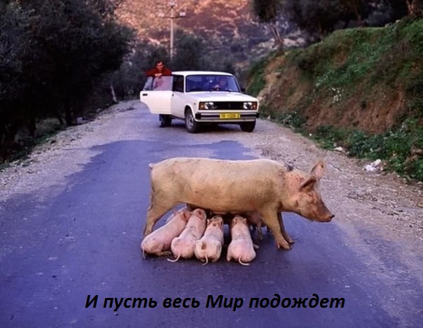 И пусть весь Мир подождет