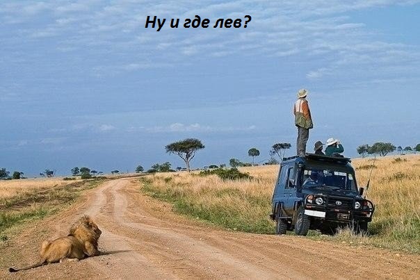Ну и где лев?