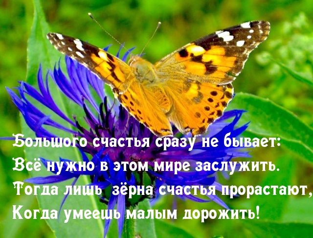 Всё нужно в этом мире заслужить.