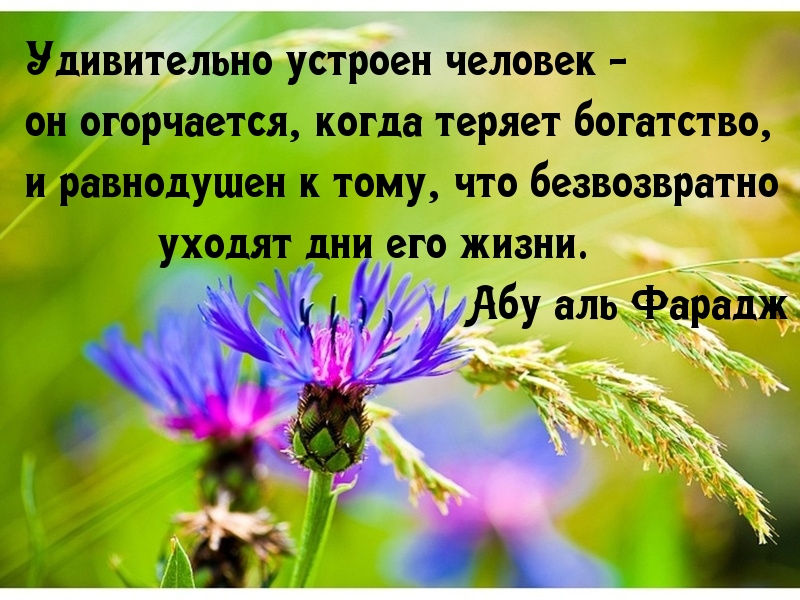 Удивительно устроен человек