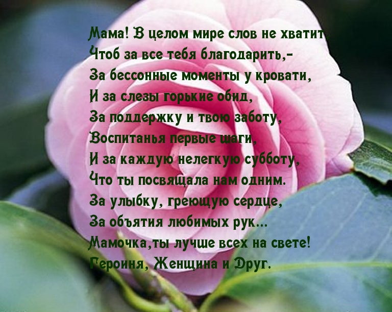 Героиня, Женщина и Друг