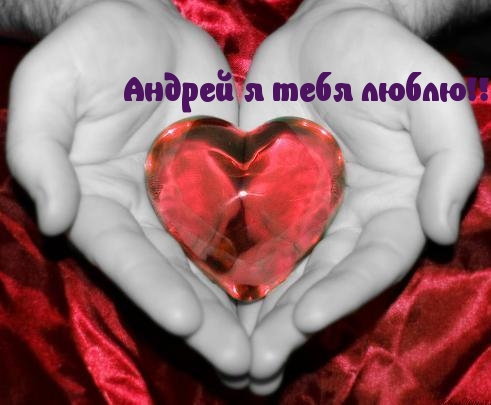 Андрей, я тебя люблю!