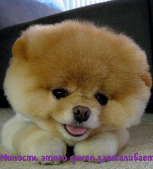 Милость зашкаливает