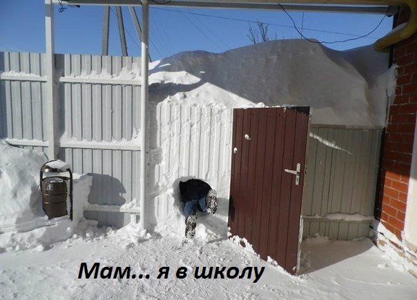 Картинки с надписями.  Мам... я в школу.