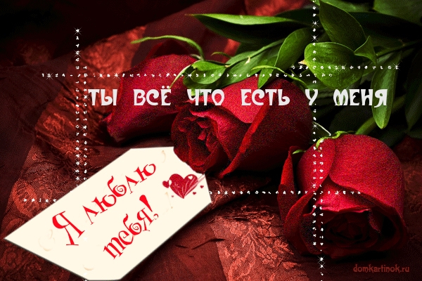 Я люблю тебя