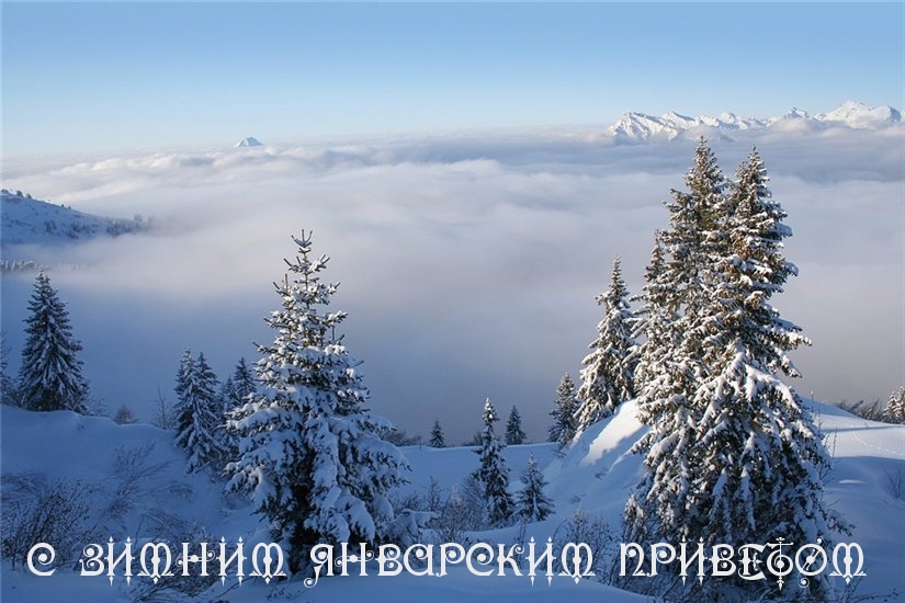 С ЗИМНИМ ЯНВАРСКИМ ПРИВЕТОМ