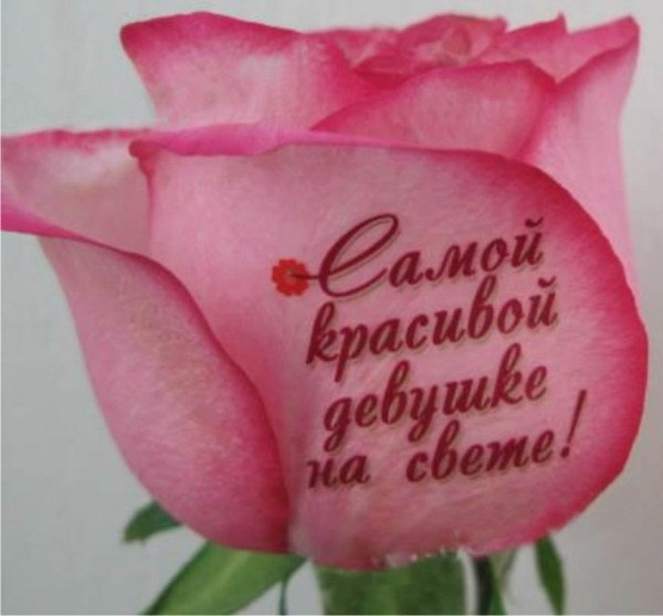 Девушке