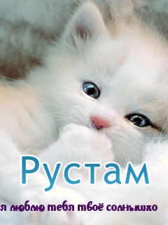 Рустам, я люблю тебя