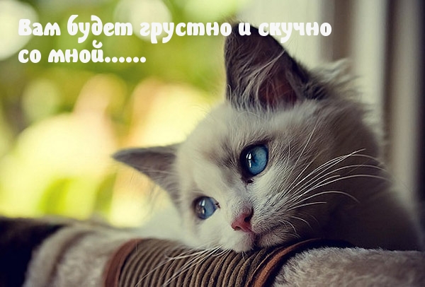 Со мною грустно и скучно…