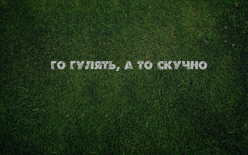 Го гулять