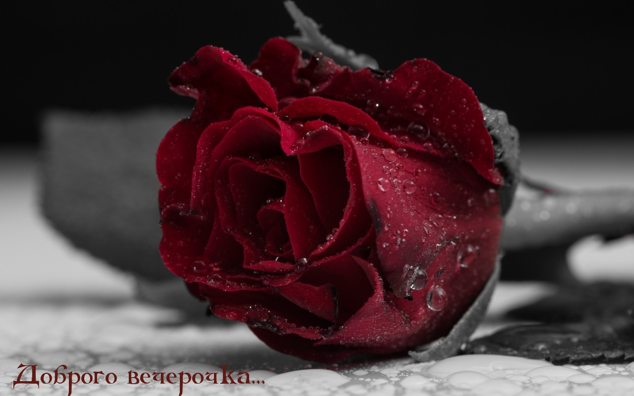 Доброго вечерочка