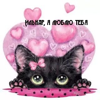 Ильнар, я люблю тебя