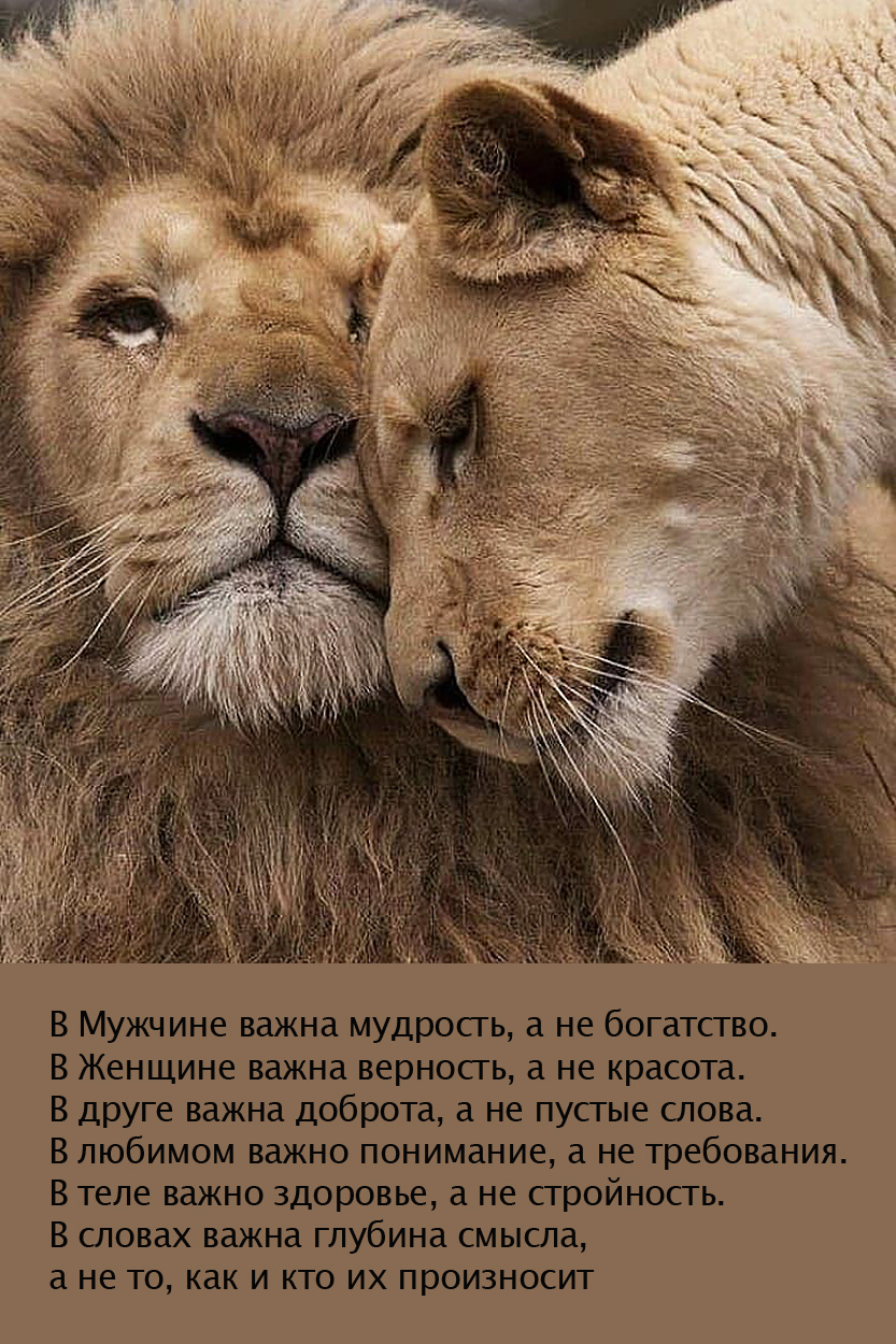 То что важно и мудро