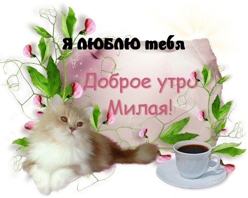 Доброе утро, милая. Люблю тебя