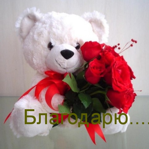 БЛАГОДАРЮ !