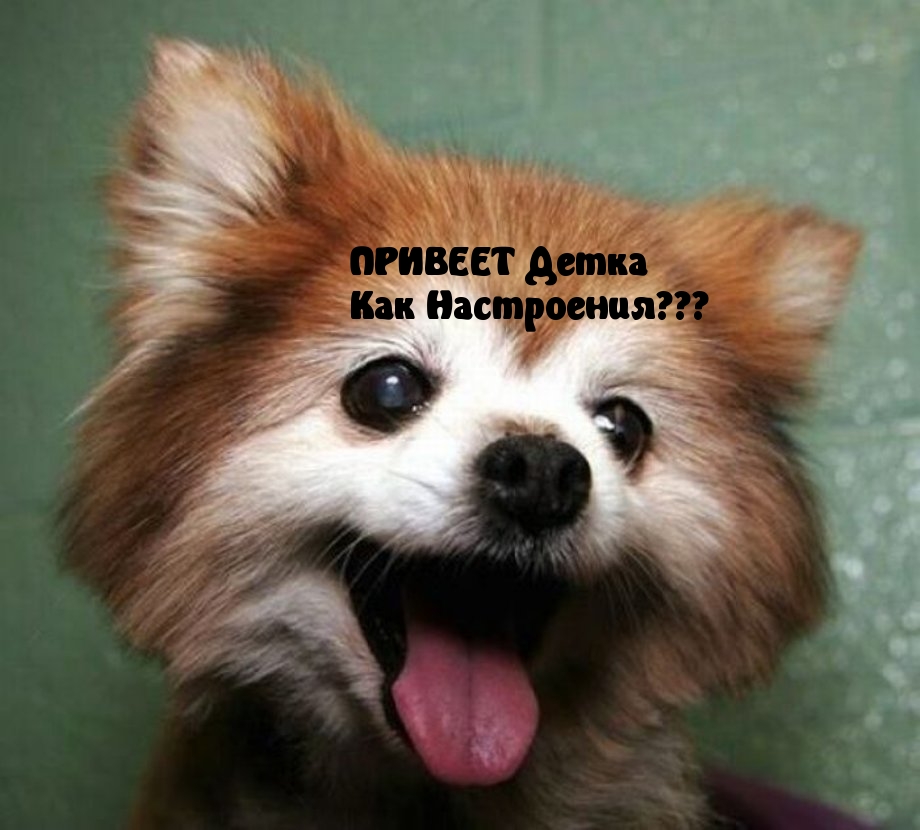 Привет! Как Настроение?