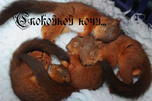 Спокойной ночи…