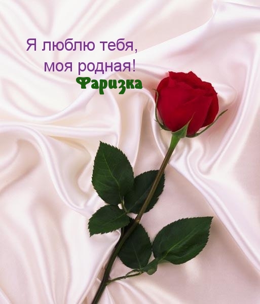 Я люблю тебя, Фариза