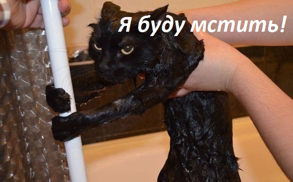 Я буду мстить!