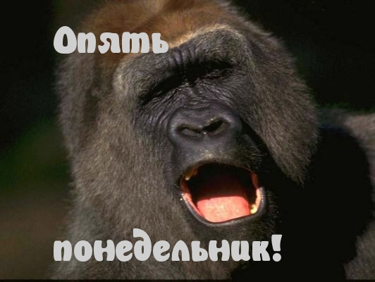 Опять понедельник!