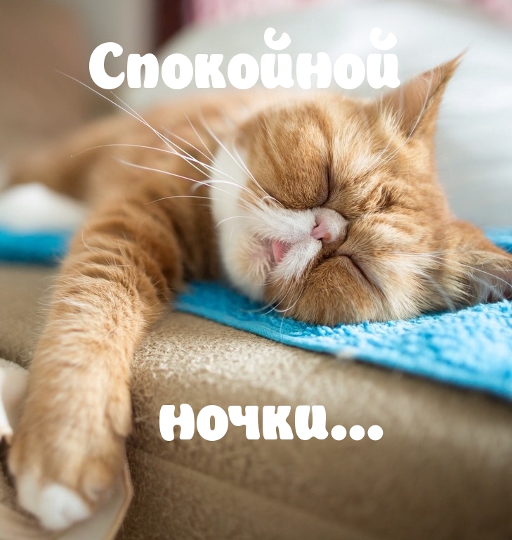Спокойной ночки