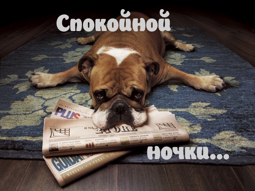 Спокойной ночки
