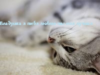 Влада, ты лучшая, люблю тебя!