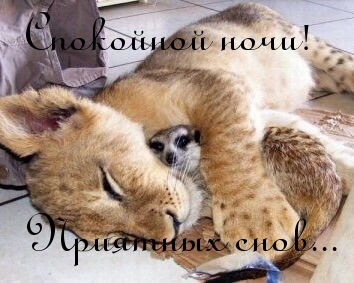 Спокойной ночи!