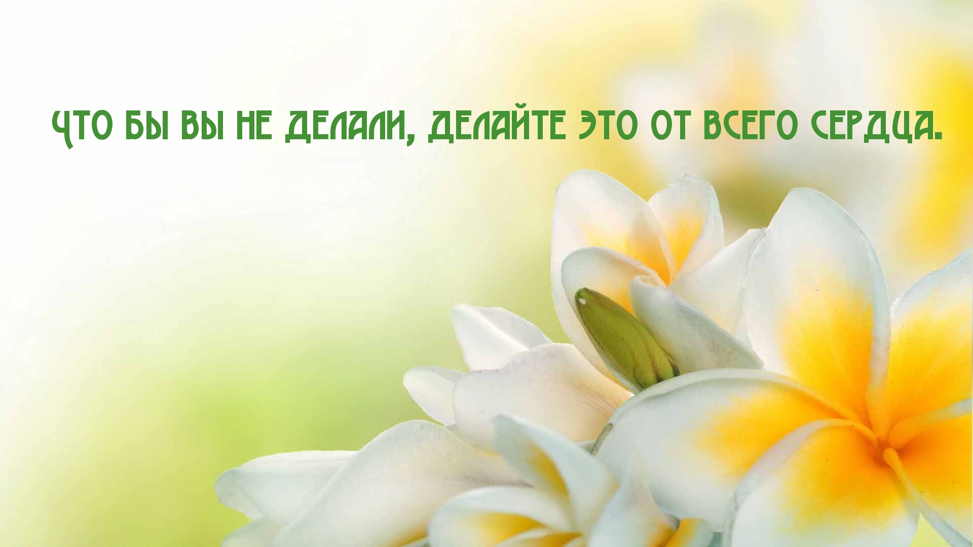 Всё делайте от сердца!