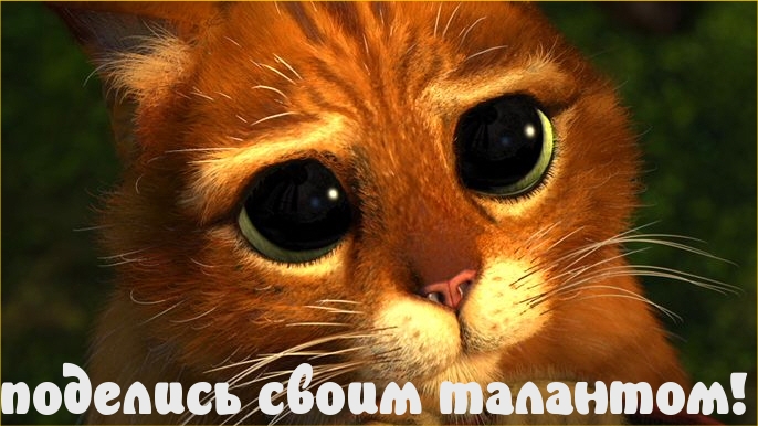 Поделись своим талантом!