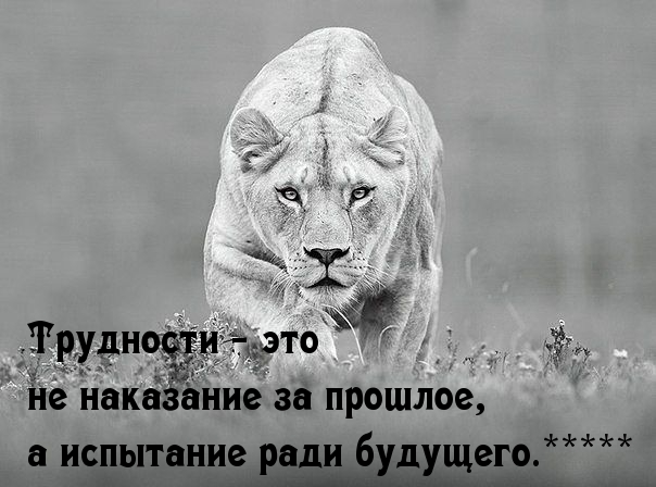 Трудности ради будущего