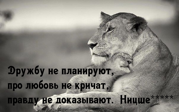 О дружбе, любви и правде