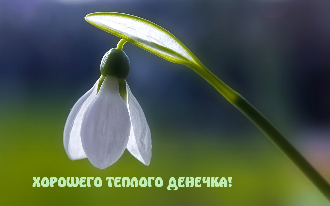 ХОРОШЕГО ТЕПЛОГО ДЕНЕЧКА!