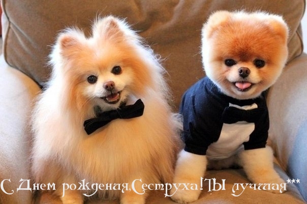 Картинки с надписями.  С Днем рождения, сеструха!.