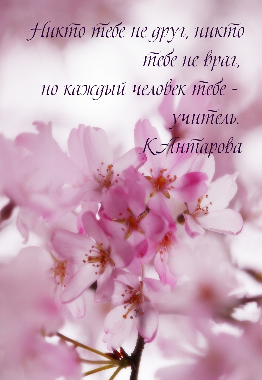 Каждый человек — это учитель