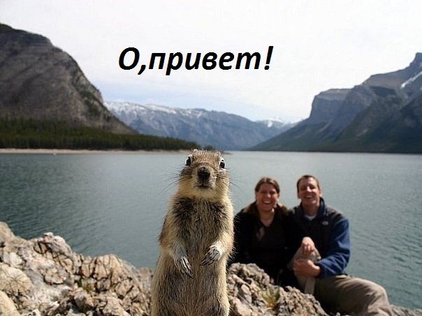 O, привет!