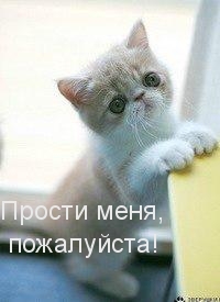 Прости меня