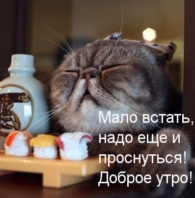 Доброе утро!