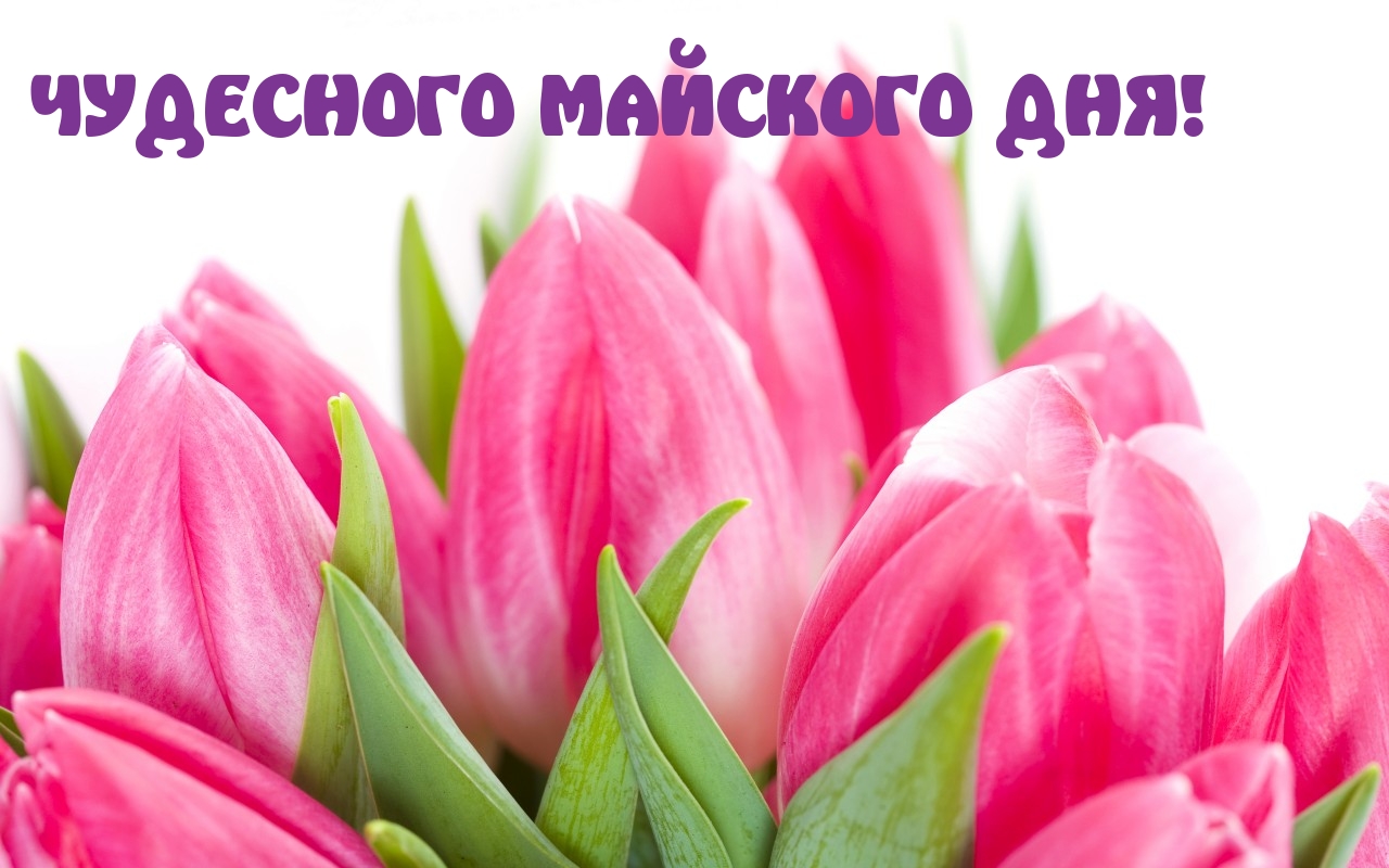 ЧУДЕСНОГО МАЙСКОГО ДНЯ!