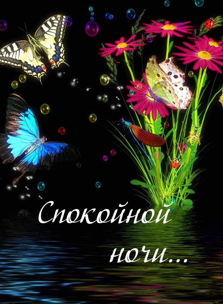 Спокойной ночи…