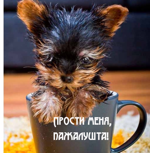 Прости…