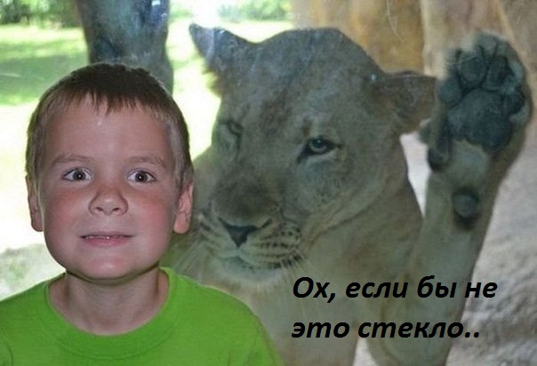 Хорошо, что между нами стекло