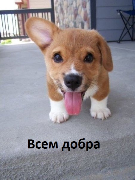 Всем добра
